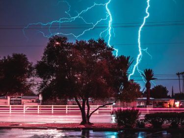 Lightning strikes behind a tree