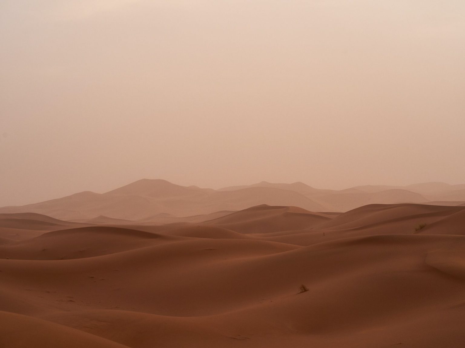 Weather Harvard University