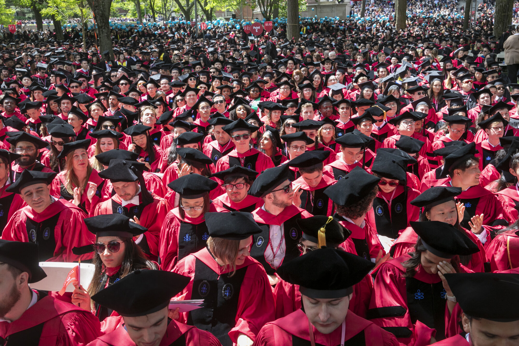 Graduates wearing caps and gowns