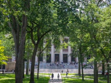 Students walking in Harvard Yard on a sunny day