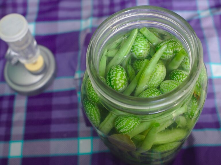 一罐泡菜豆类和黄瓜