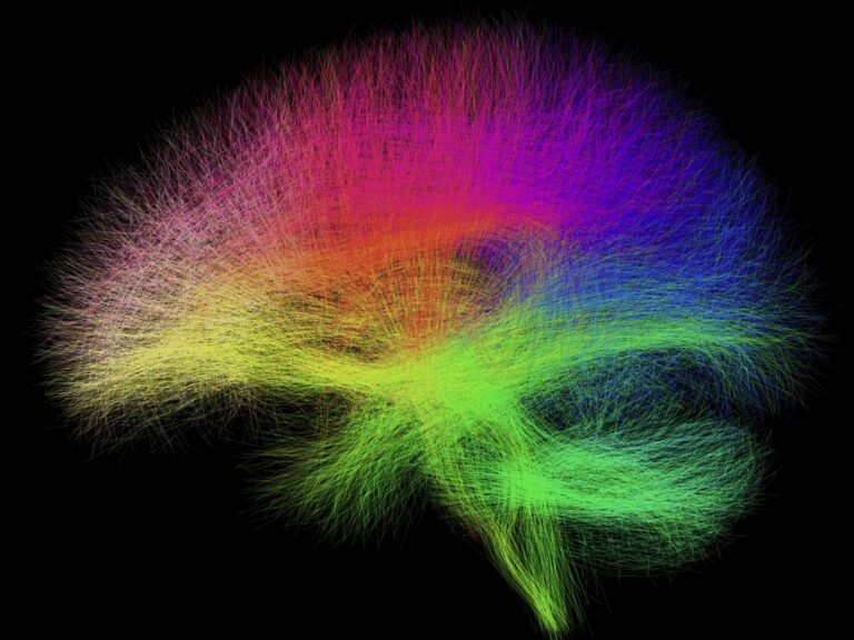 A rainbow computer visualization of a brain