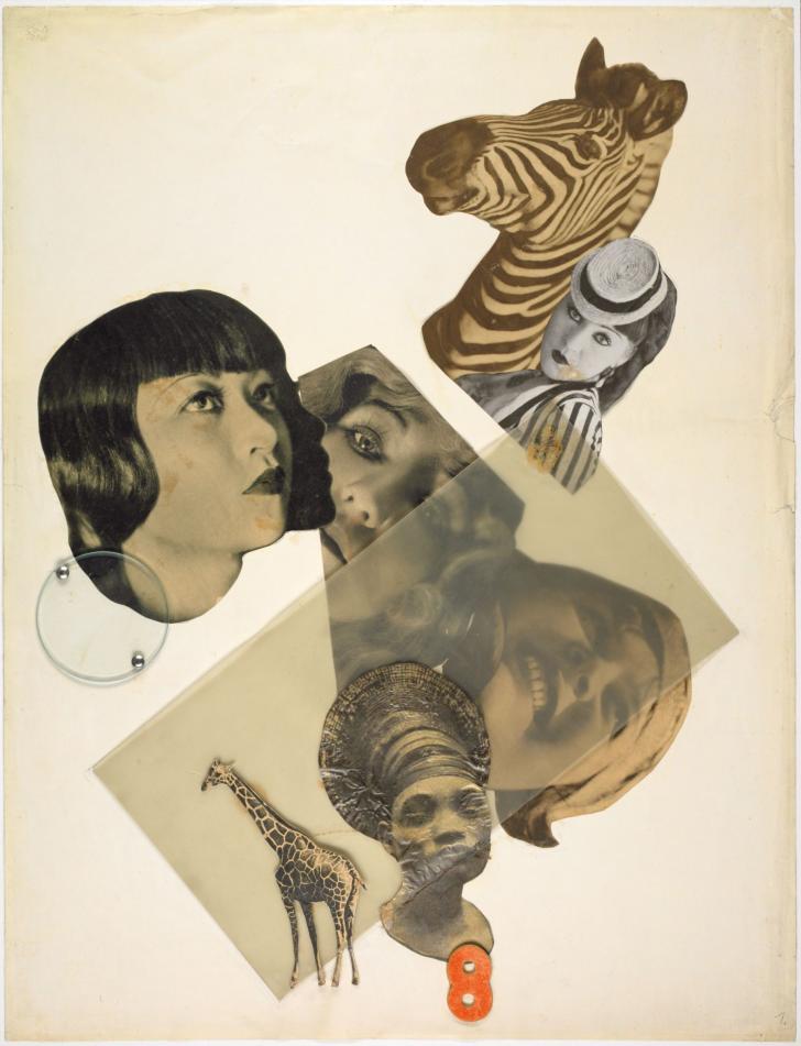 A collage of a woman's head, a zebra's head, and a few other things