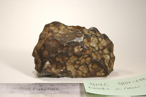 A meteorite that looks like a rock with chunks taken out