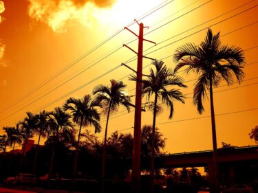 A street with palm trees and a hot looking sun
