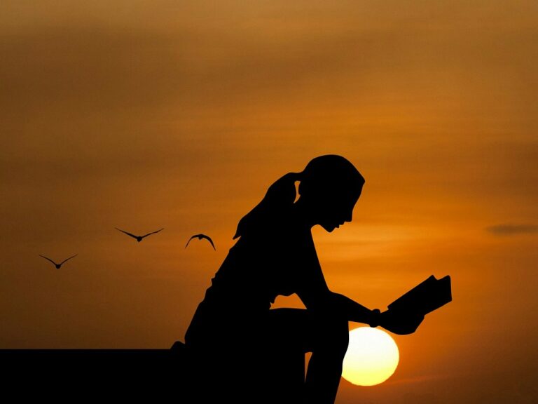 A person reading during a sunset
