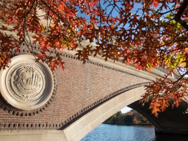 Autumn leaves in front of a brick bridge.
