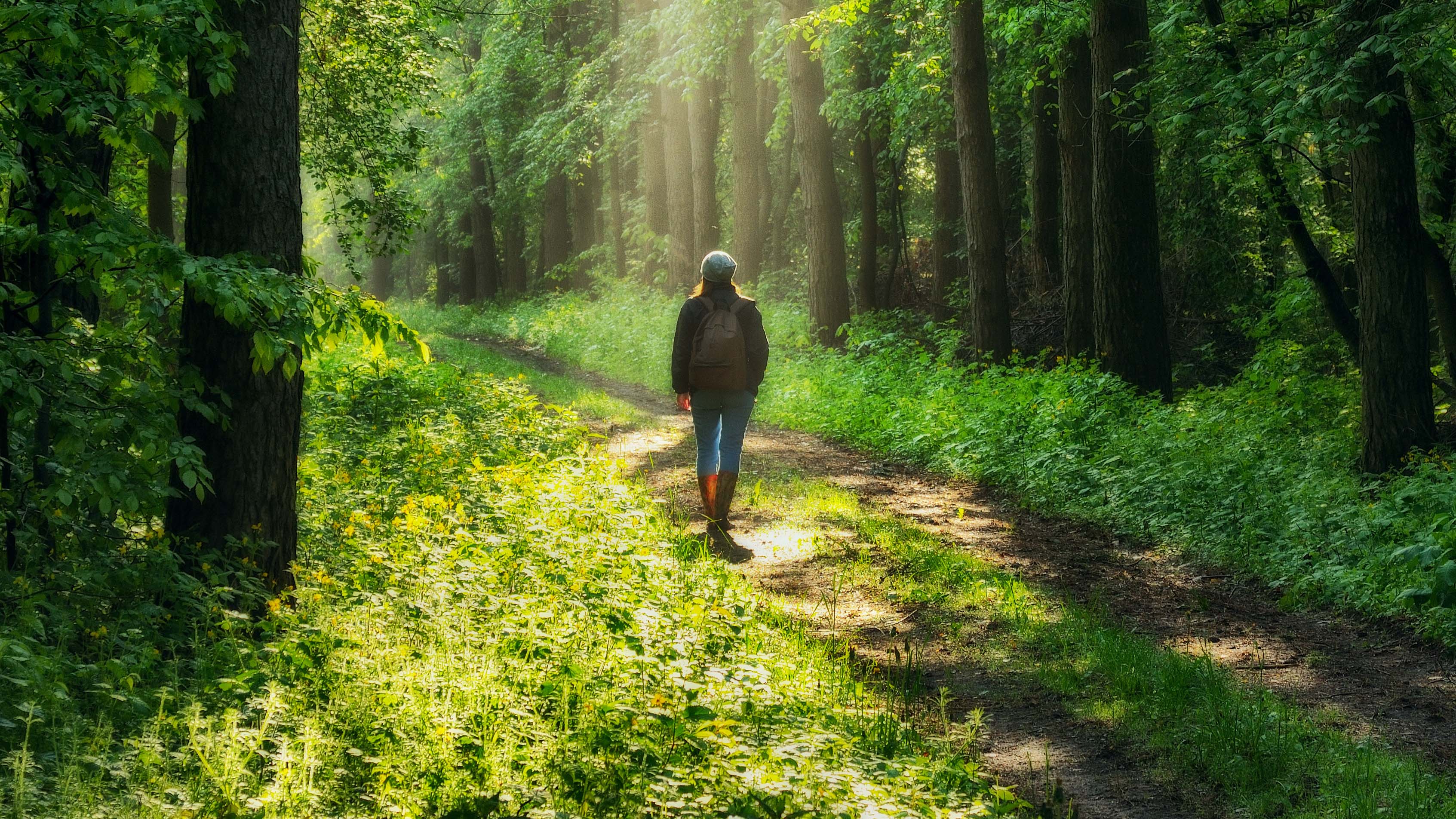 A person walking in the woods