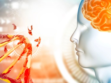 An illustration of a double helix and a human brain