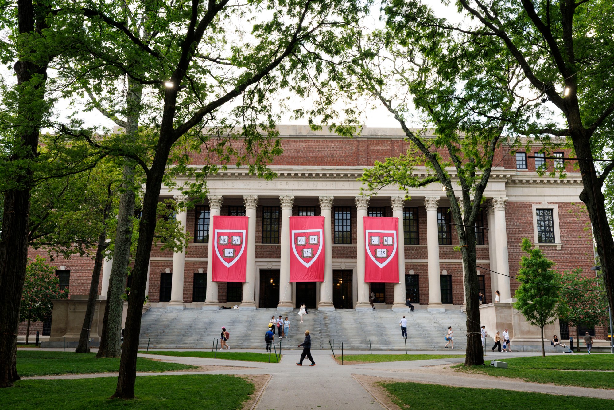 View of Widener Library with large crimson banners hanging from the top of the building.