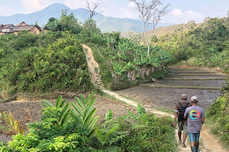 Two people walk through a pathway in Madagascar