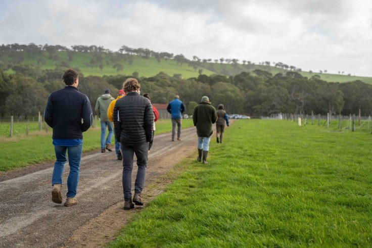 People walking on a dirt road