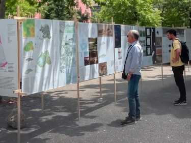 People walking by an art instillation in Albania