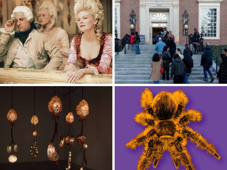 A collage of 4 photos. Top photos are of Three people in clothes from the 1700s on a balcony looking into the distance, People walking into a museum. The bottom photos are of Art fixtures hanging from the ceiling and An orange tarantula in front of a purple background